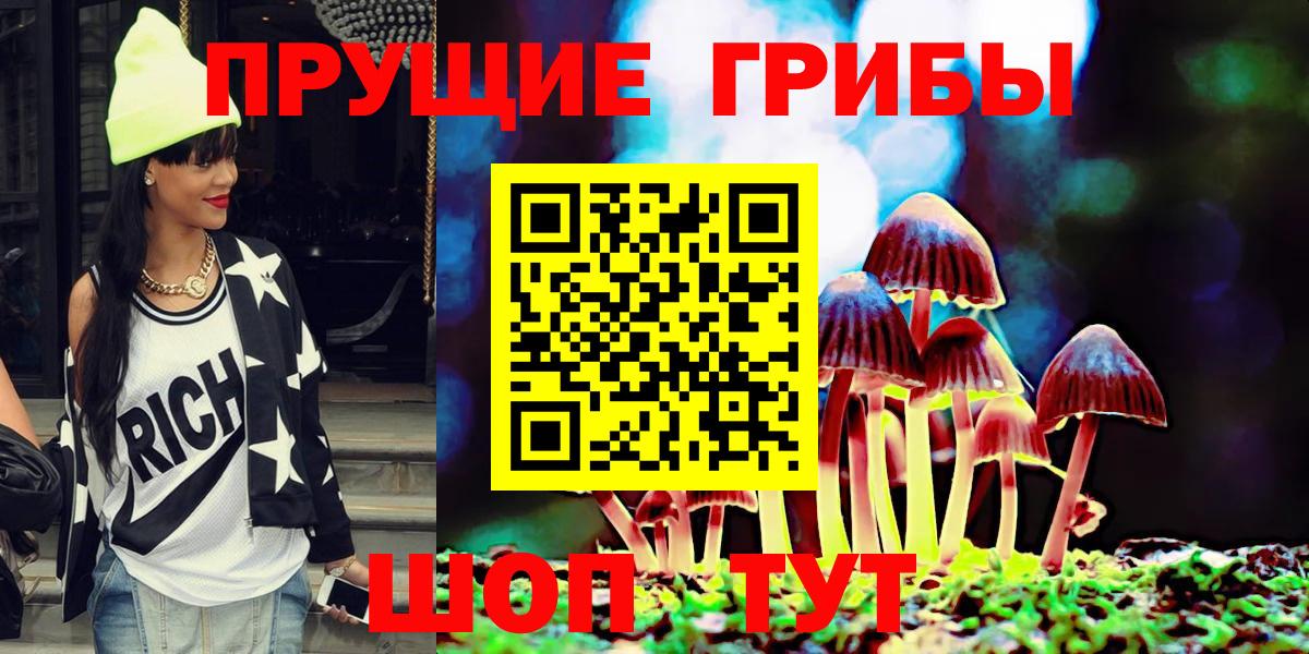 Кириши  Псилоцибиновые грибы Psilocybine cubensis  Вход с VPN 